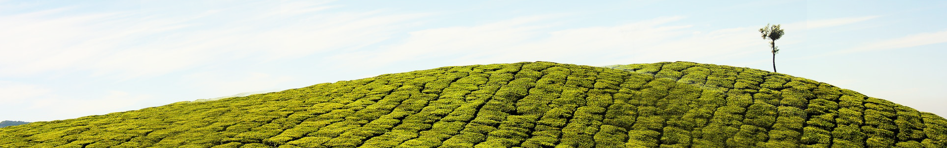 多乐游戏帐号注册