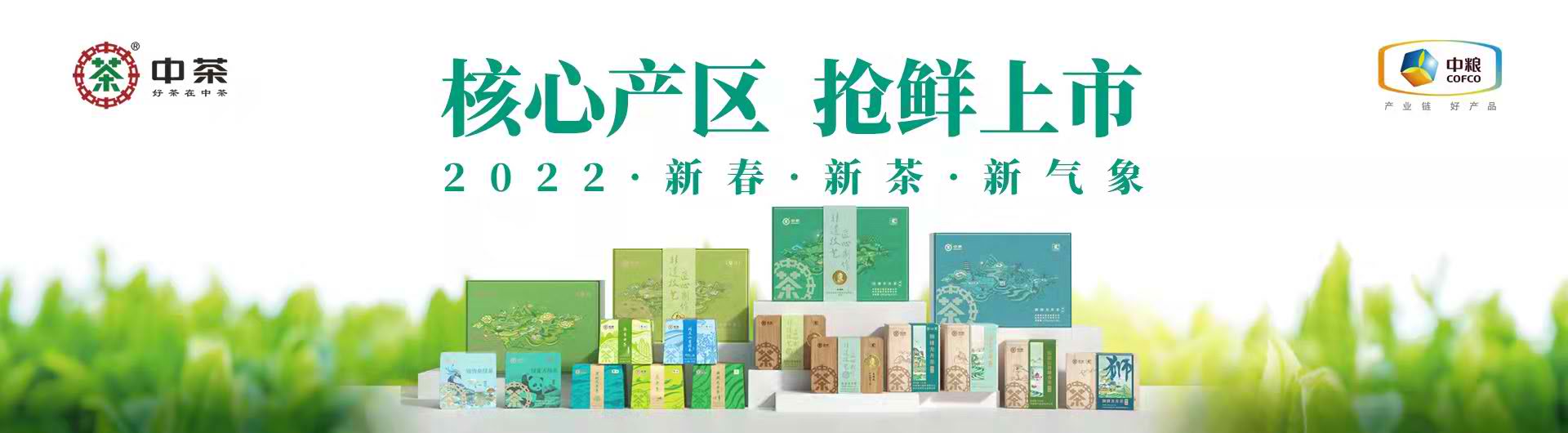 多乐游戏保皇下载